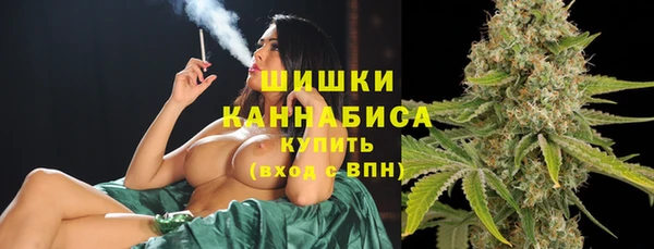не бодяженный Няндома