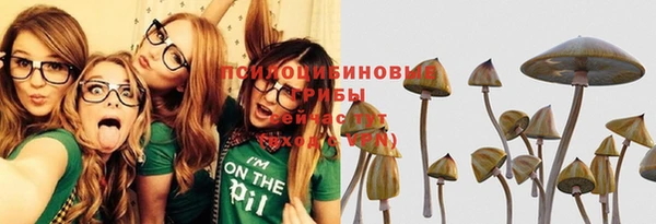 амфетамин Новодвинск