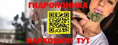 ешки Дубна