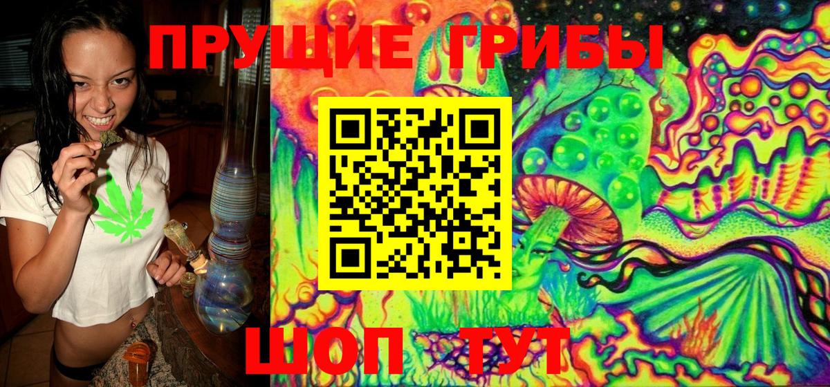 Псилоцибиновые грибы мицелий  Псилоцибиновые грибы прущие грибы  Зерноград 