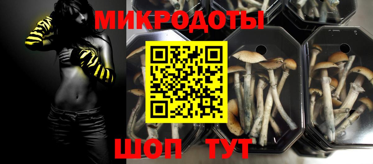 Псилоцибиновые грибы мицелий Зерноград