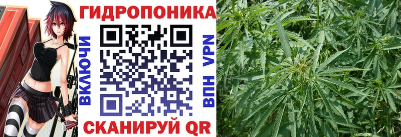 Бошки марихуана AK-47  Зерноград 